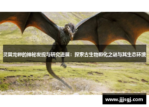 灵翼龙卵的神秘发现与研究进展：探索古生物孵化之谜与其生态环境